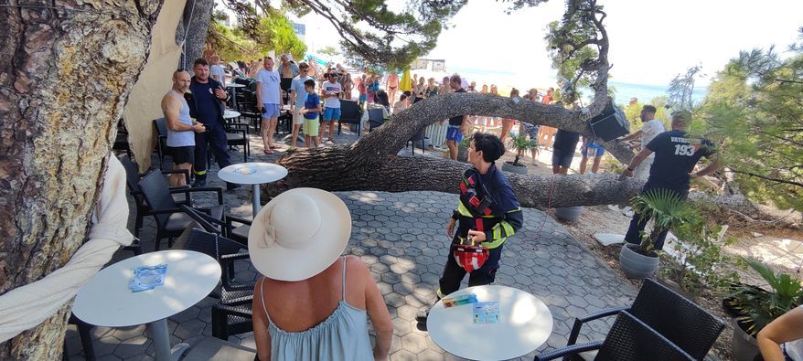 U Baškoj Vodi palo stablo na plažu, ozlijeđene četiri osobe!