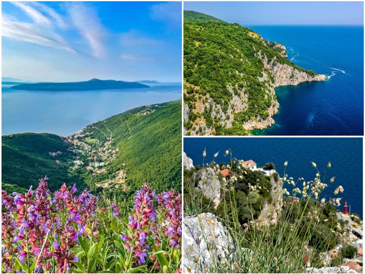 Zeleno lice Mošćeničke Drage - brojne aktivnosti u prirodi i nezaboravan pogled