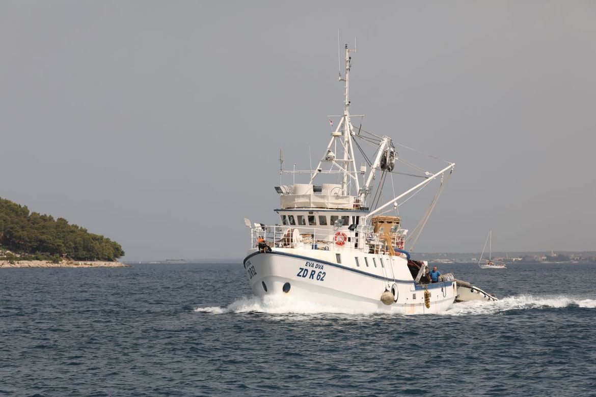 Državni zavod za statistiku: Ribara je sve manje, a smanjuje se i ulov ribe!