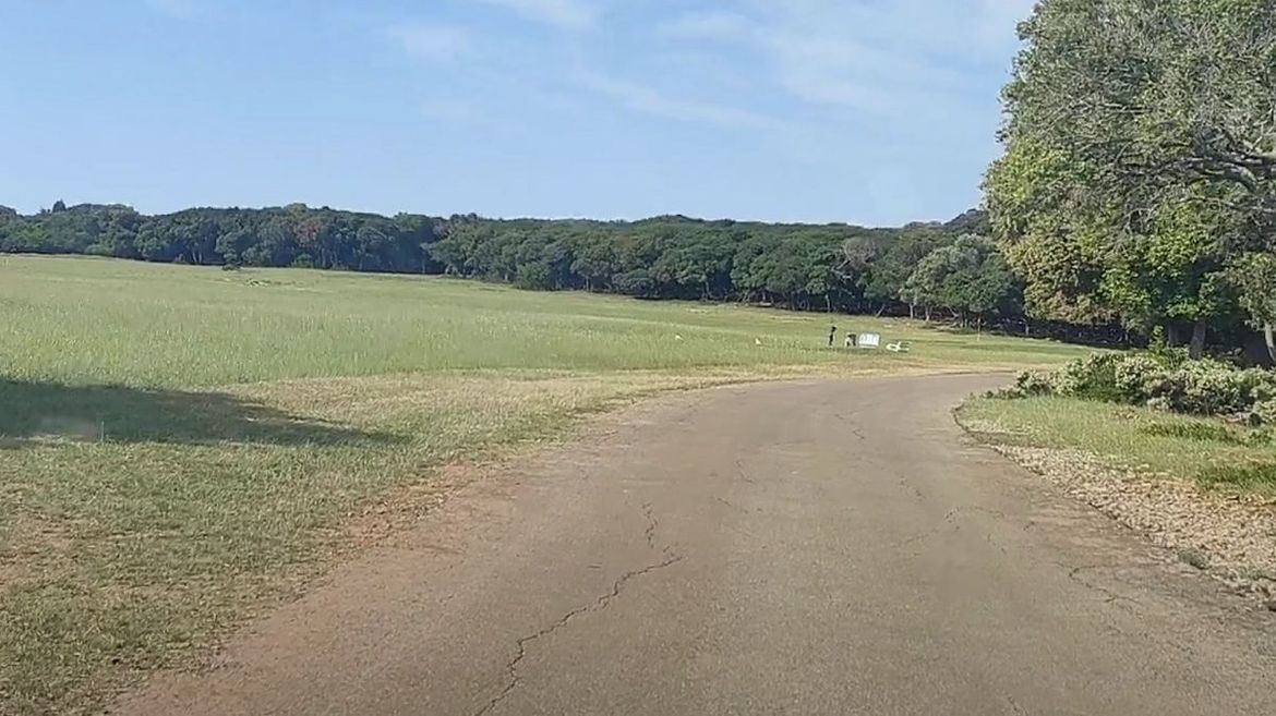 Priveden vozač automobila koje je naletjelo na majku i dijete na Brijunima