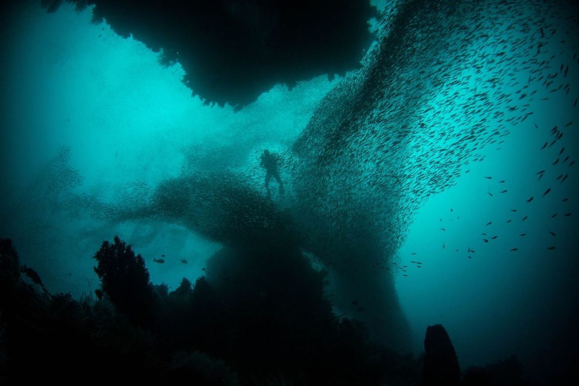 Znanstvenici: "Moramo hitno istražiti dubine oceana da bismo znali što sve dolje postoji"