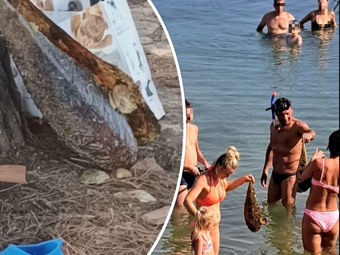 Mađari izvadili periske na Viru, policija brzo reagirala, pa im s roniocima očitala lekciju