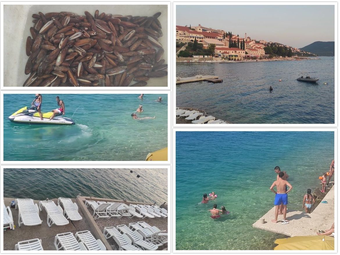 NEUM 2 Suživot s kreativnim kaosom