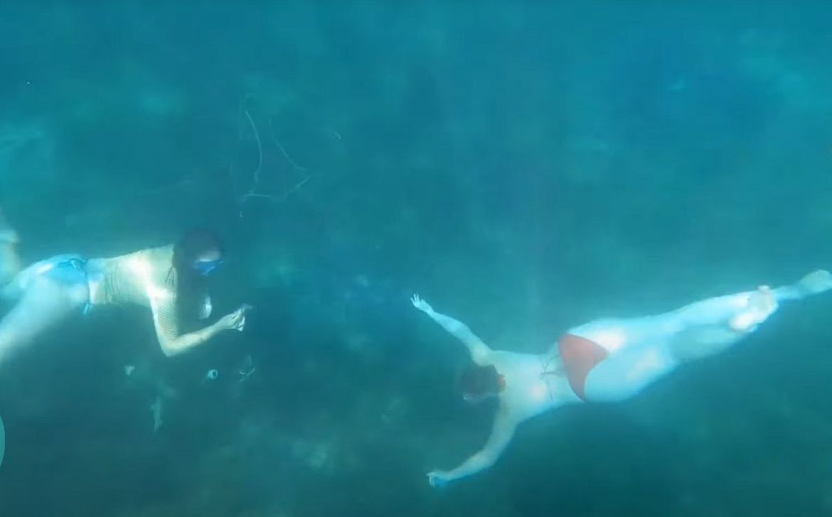 VIDEO MerAdria "Sirene" očistile podmorje Lošinja