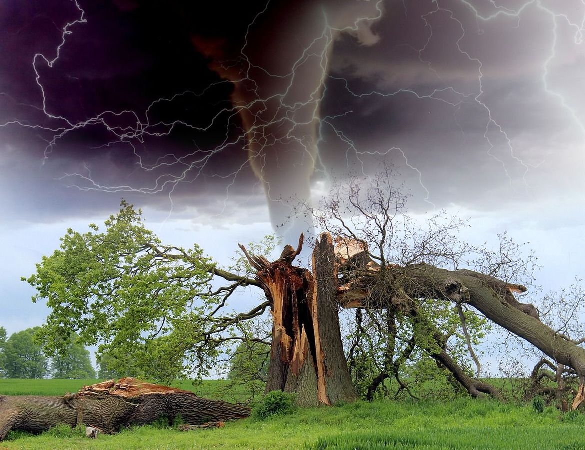 Zlokobne poruke s klimatskog summuta: "Svijet gubi utrku s klimatskim promjenama!"