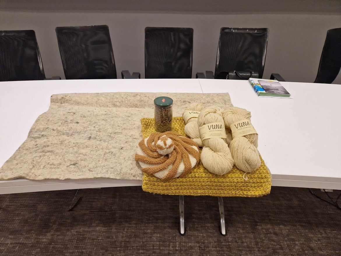 PROJEKT V.U.N.A. - Udruga Volim Vlašići organizirala Studijsko putovanje na otok Krk