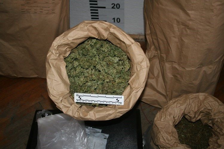 U Makarskoj zaplijenjeno gotovo 6 kilograma marihuane