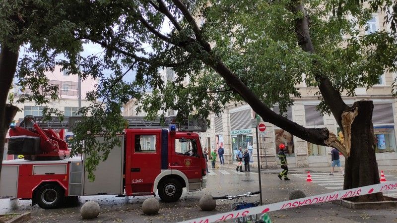 Osim potopa, istarski vatrogasci imaju posla i s oborenim stablima po prometnicama i naseljima diljem Istre