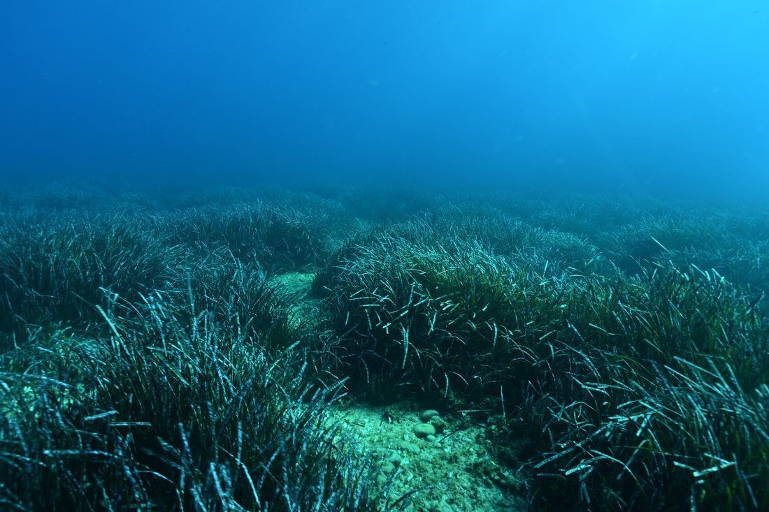 Znanstveno-stručni skup 'Prilagodbe na klimatske promjene i očuvanje morskih ekosustava Jadranskog mora'