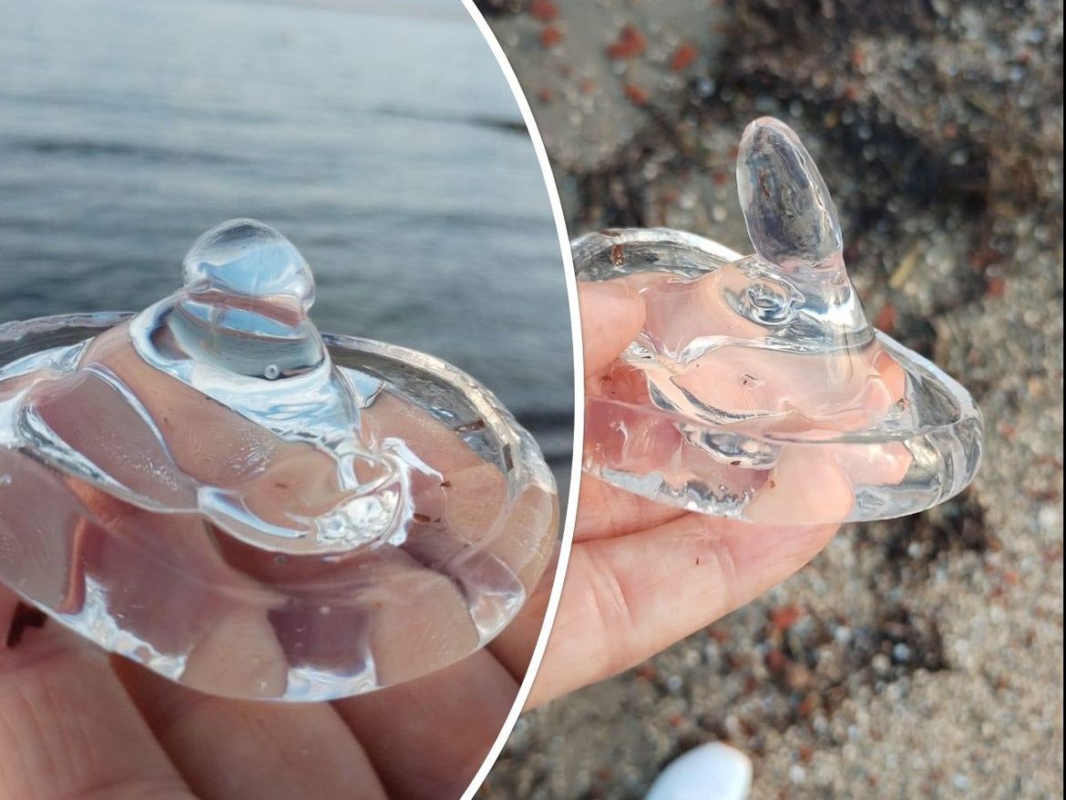 Neobična pojava uočena na plažama oko Nina