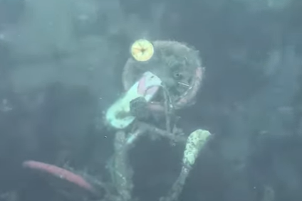 VIDEO Tko će ukloniti ovaj bicikl na dnu mora uz splitsku rivu?
