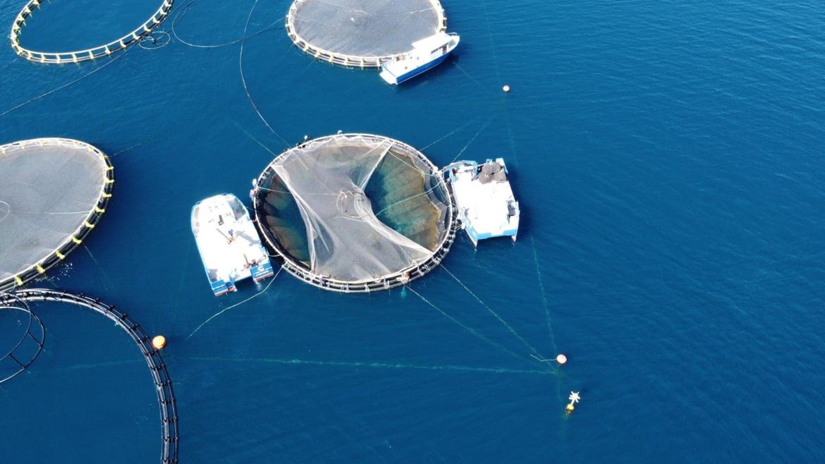 Izmijenjen Pravilnik o Organizacijama proizvođača u ribarstvu