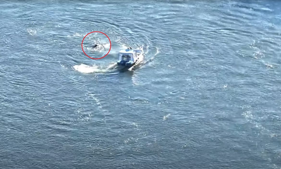 VIDEO Ukrajinac u ronilačkom odijelu pokušao pobjeći, preplivavajući Dnjestar