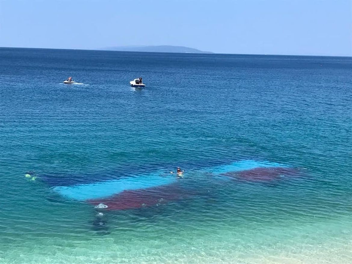 NAJTROFEJNIJI REPREZENTATIVCI NASTUPAT ĆE POD DRUGOM ZASTAVOM? Zbog malverzacija u ronilačkom savezu razmišljaju o najgoroj opciji