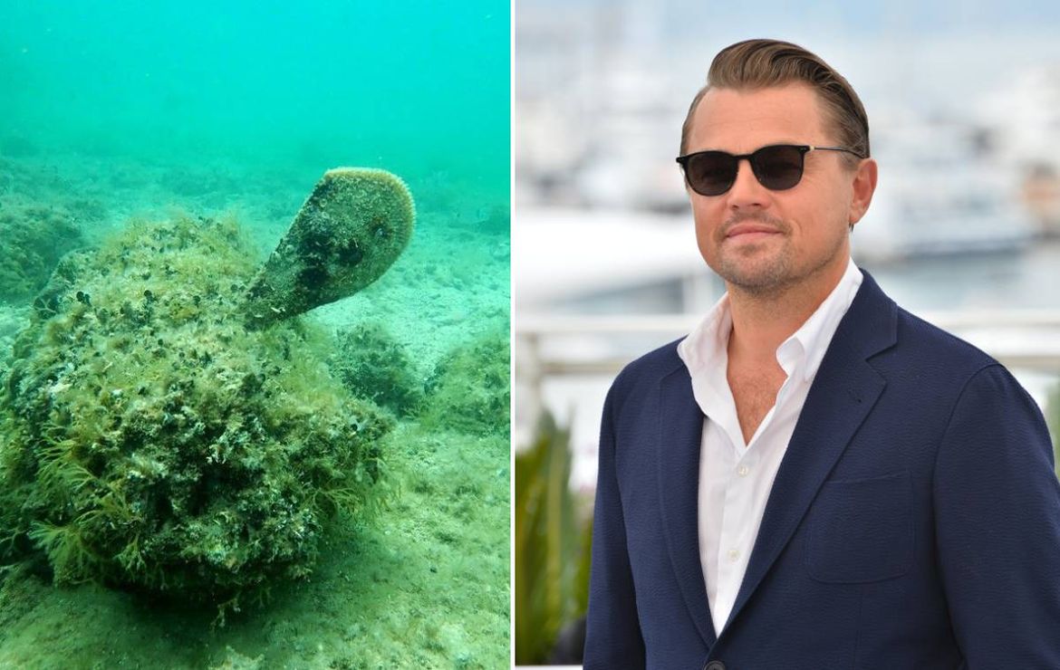 Leonardo DiCaprio podijelio video o zaštićenoj periski u Hrvatskoj: "Njena populacija se smanjuje..."