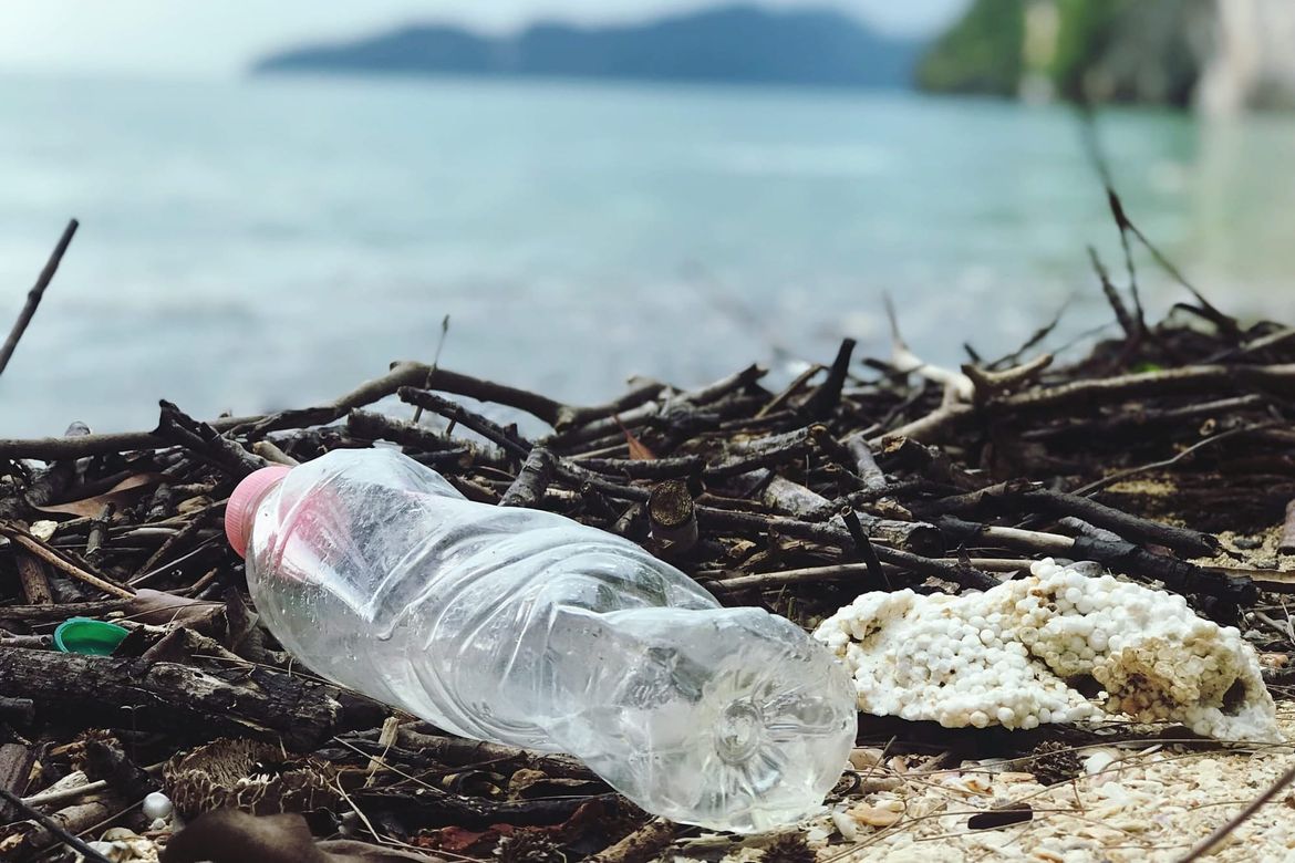 SEA STAR HERO Od ove sezone i turisti će čistiti pulske plaže i more