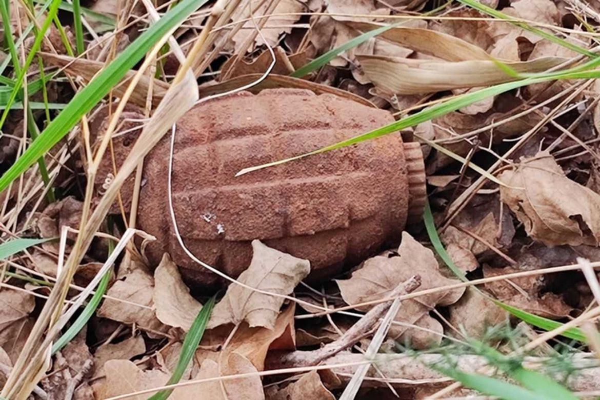 Poljoprivrednik na jugu Istre u polju pronašao ručnu bombu