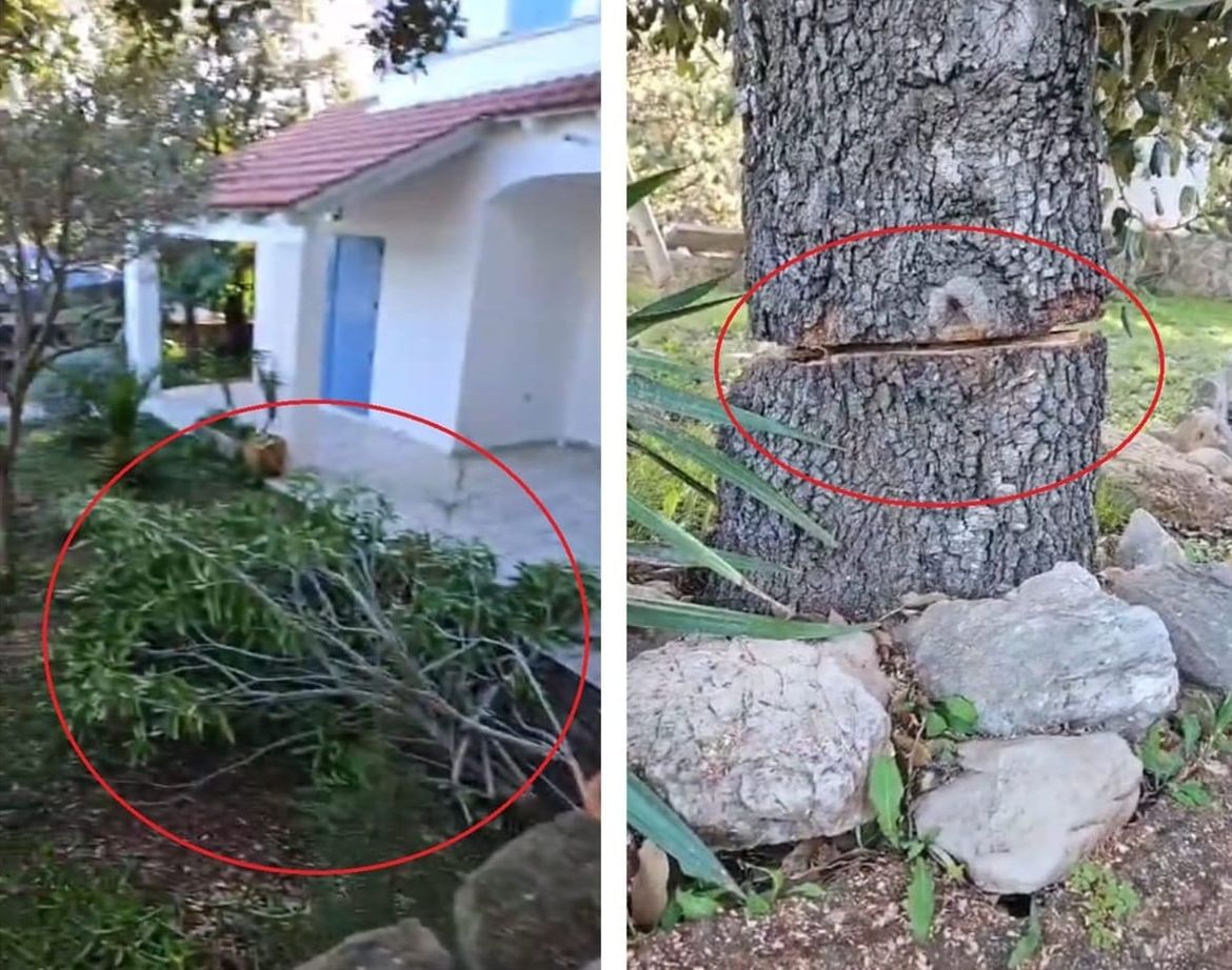 Lošinjanin upozoravao na devastaciju pa mu popilali sva stabla u dvorištu i zaprijetili: "Ne prestaneš li, eliminirat ćemo tebe i obitelj!"