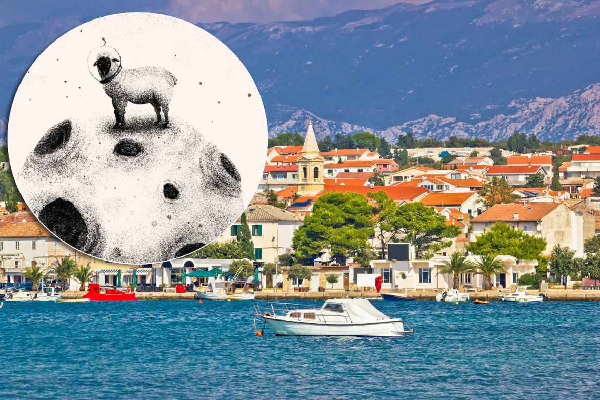 Spacesheep ili MarsOvca - Jedinstveni hedonistički događaj na Pagu