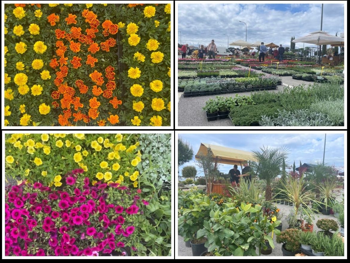 'Umag Floria'  - Još jedan prekrasan proljetni vikend pun cvijeća