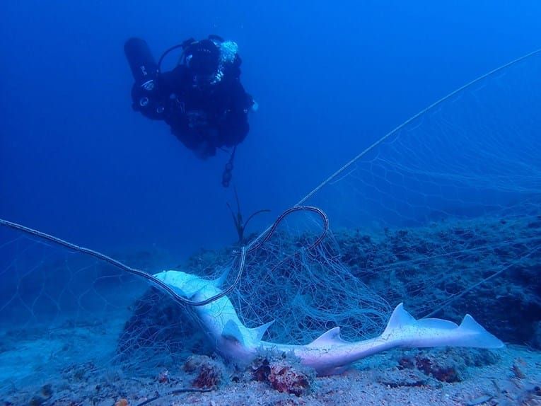 Počelo vađenje ribarskih mreža u Parku prirode Telašćica