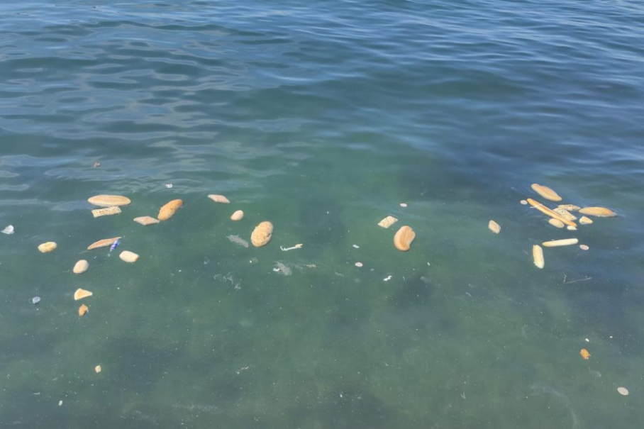 SMEĆE UZ RIVU Prizor u Splitu nije "oduševio" ni domaće ni turiste