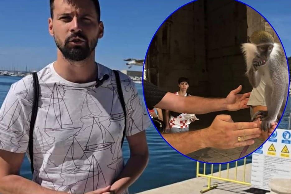 Splitom netko šeta sa zelenim majmunom. Dogradonačelnik Ivošević: " Već je ugrizao nekoliko građana, zovite policiju!"