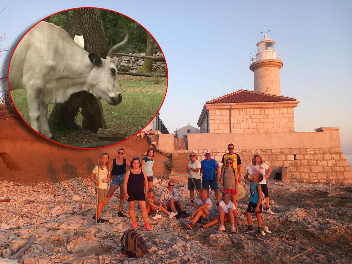 Ekipa s Unija krenula čistiti obalu pa ih dočekalo neugodno iskustvo: "Probili su ogradu i krenuli u stampedo"