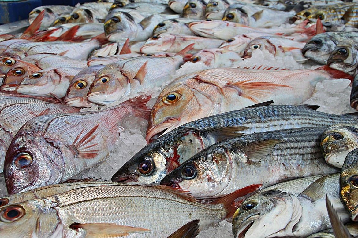 Nova kampanja WWF-a: "I moru treba odmor, more nije supermarket"!