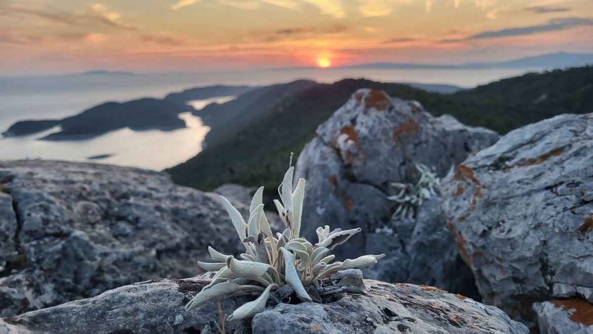 Nacionalni park Mljet odabrao najbolje fotografije prirodne, kulturne i tradicijske baštine