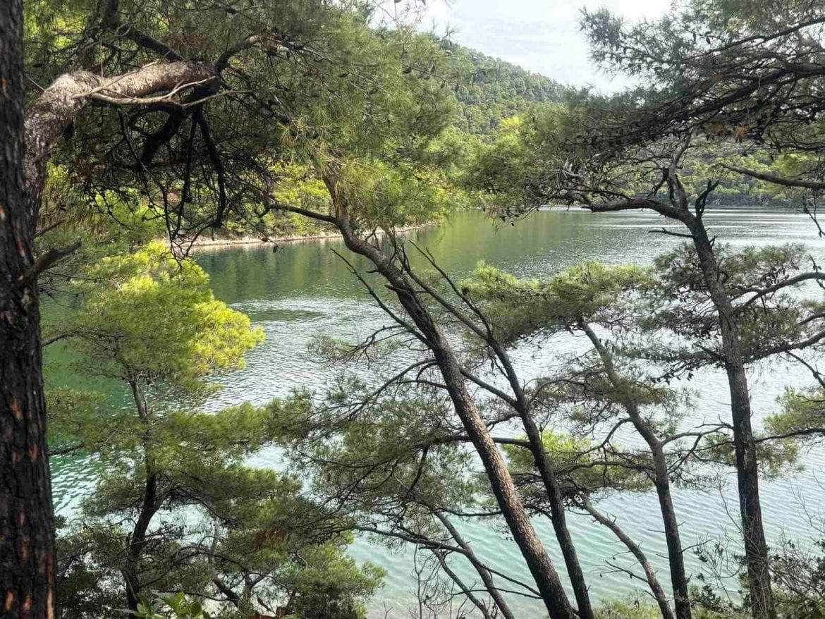 FOTO Pojavile se brojne vrulje u Nacionalnom parku Mljet
