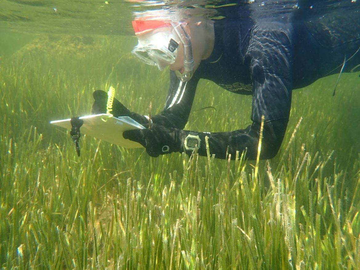 Autonomna plovila u službi zaštite Jadranskog mora - Projekt koji pomaže očuvanju morskih livada