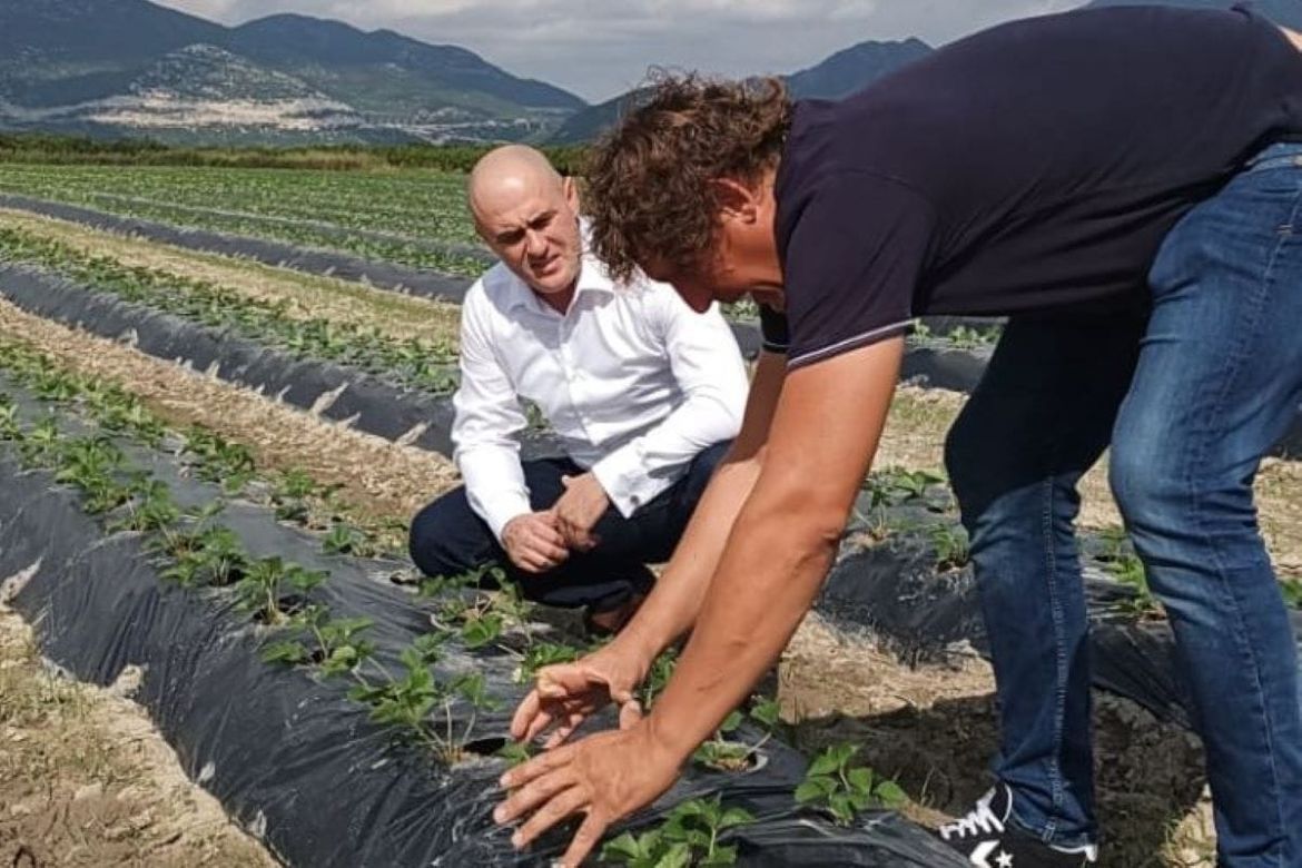Ministar poljoprivrede, šumarstva i ribarstva u obilasku proizvođača doline Neretve