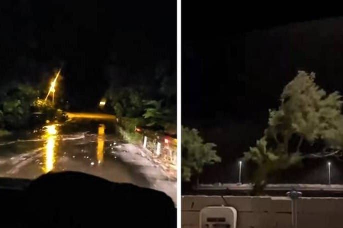 VELIKO NEVRIJEME U Dalmaciji su noćaš "padala" stabla, a kiša je izazivala bujice!