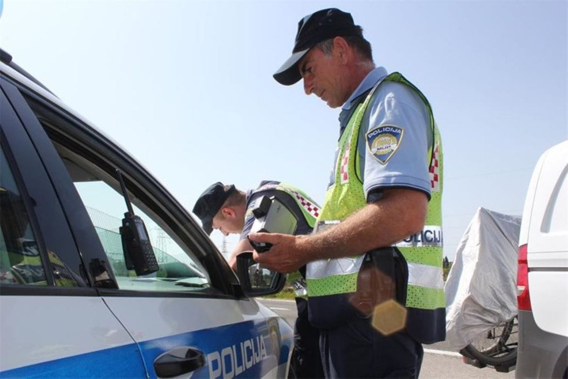 S gotovo dva promila udario i na mjestu usmrtio divlju svinju