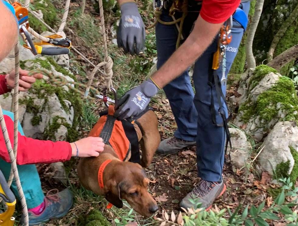 Riječki HGSS spasio psa koji je upao u jamu duboku 20 metara