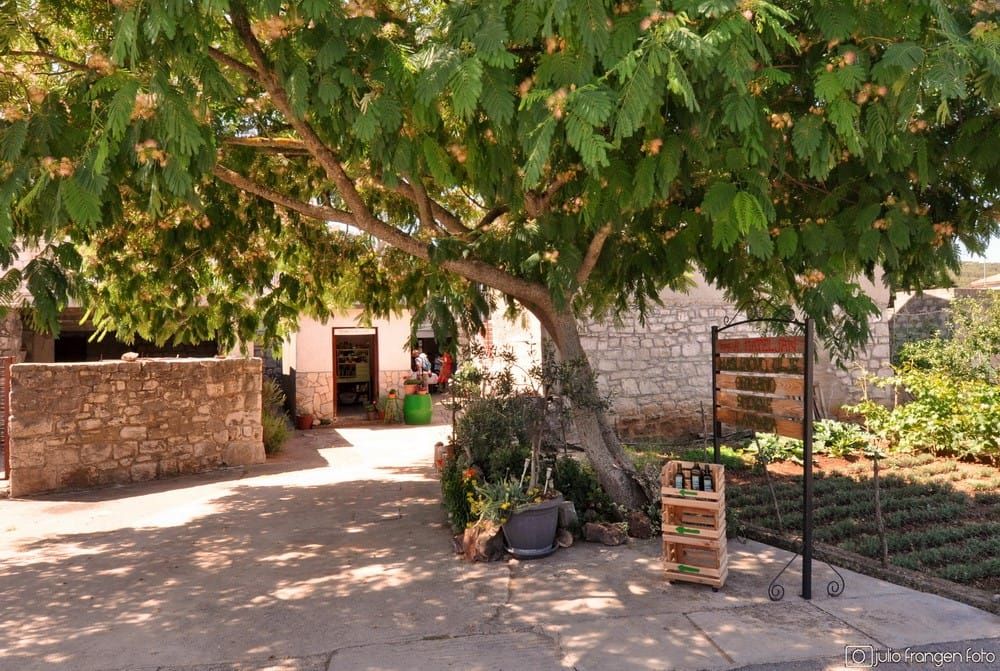 Wine, olive & heritage u Jelsi na otoku Hvaru - Festival vina, maslina i baštine ove godine trajat će dva dana!