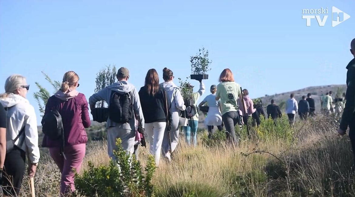 BORANKA - OVO SU ISTINSKI DOMOLJUBI: 300 volontera u radnim akcijama pošumljava Grebašticu, nastradalu u prošlogodišnjem požaru!