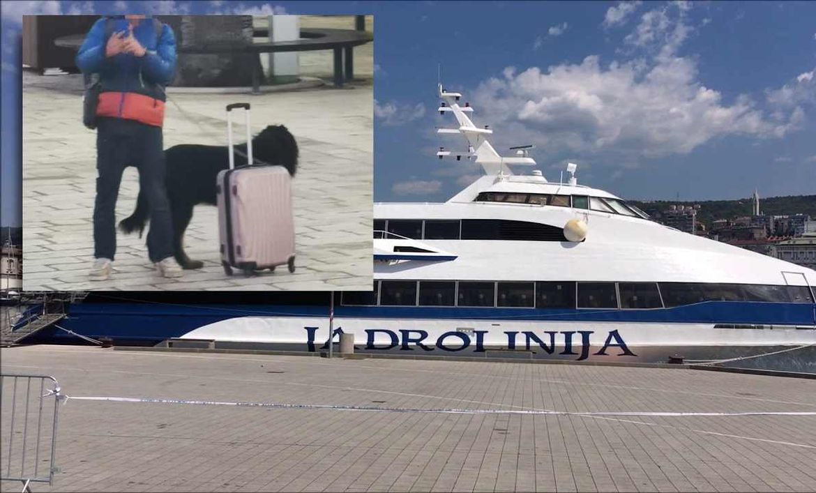 Druga strana medalje o psu koji nije smio u katamaran: "Pas nije bio bolestan, a vlasnik je posadi psovao mater i koji to putnik ide u Split s kuferom u veterinara?"