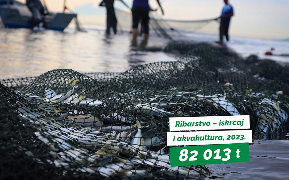 Državni zavod za statistiku: "Smanjen iskrcaj male plave ribe za 13%!"