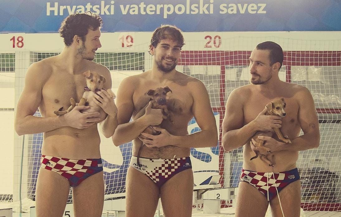 Barakude zagrlile štence u kampanji za spas doma napuštenih pasa!