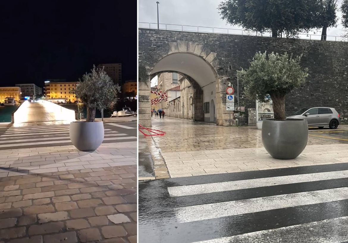 Pod okriljem noći netko je nekoliko stotina kilograma tešku žardinjeru s maslinom pomaknuo stotinjak metara u Zadru do pješačkog prijelaza