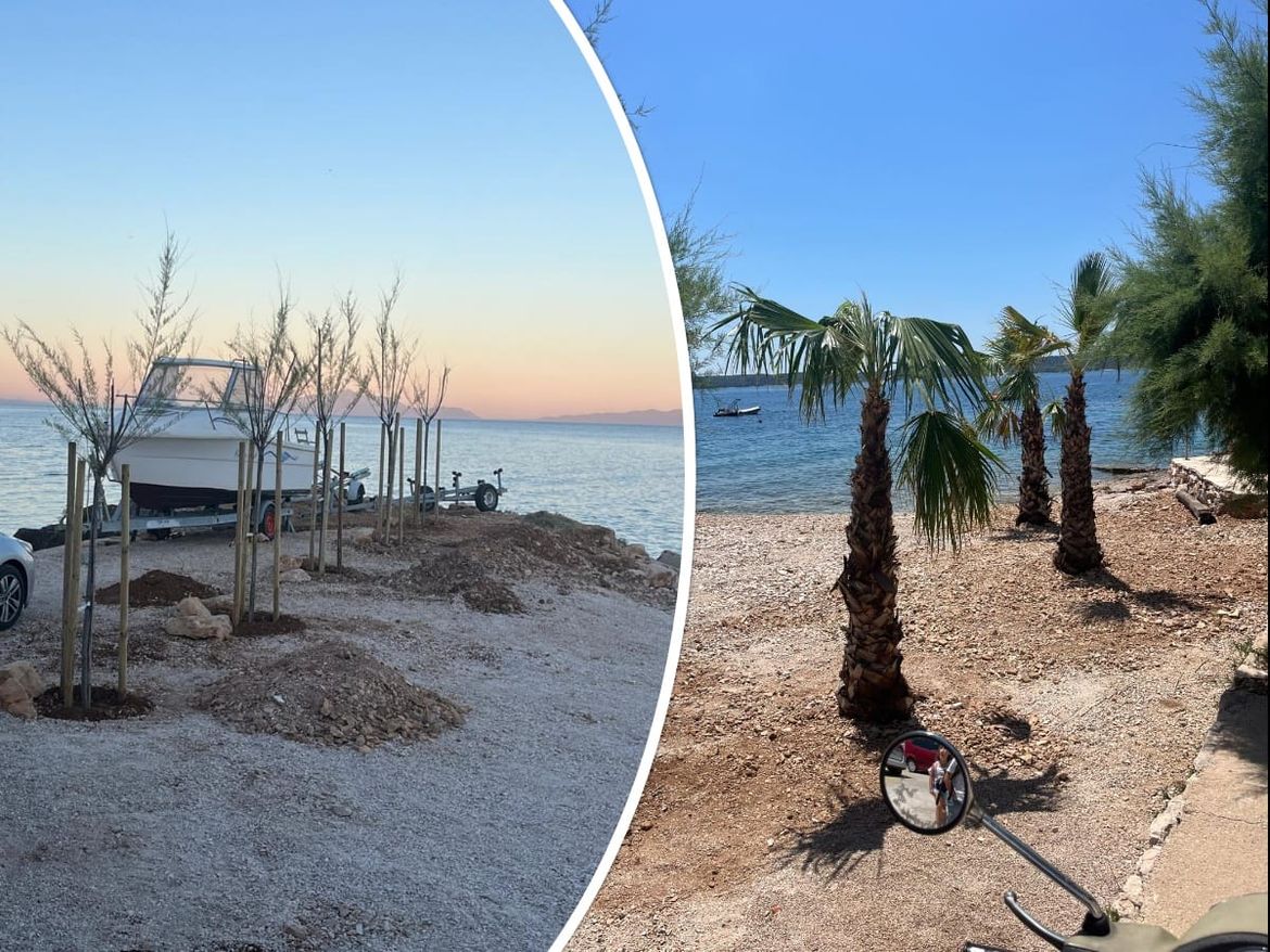 Turistička zajednica Jelsa posadila stabla u sklopu projekta "Hrvatska prirodno tvoja"