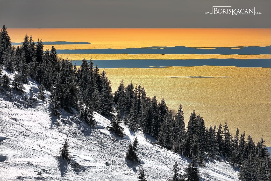 Predavanje u Donatovom gradu: "VelebitZadarMore - inspirativna priča o identitetu, ljubavi, staništu i zdravlju!"