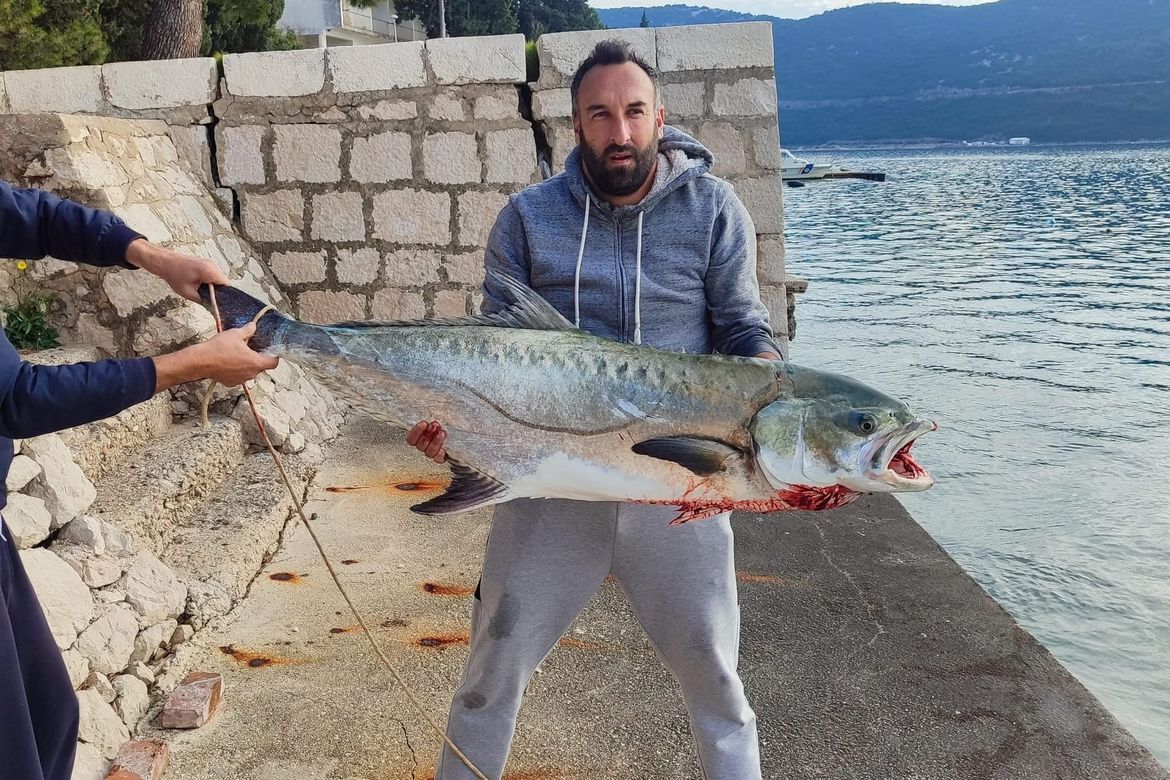 KAKVA MRCINA Ribar u Neumskom zaljevu ulovio licu od 30 kilograma: "Borili smo se skoro sat vremena!"