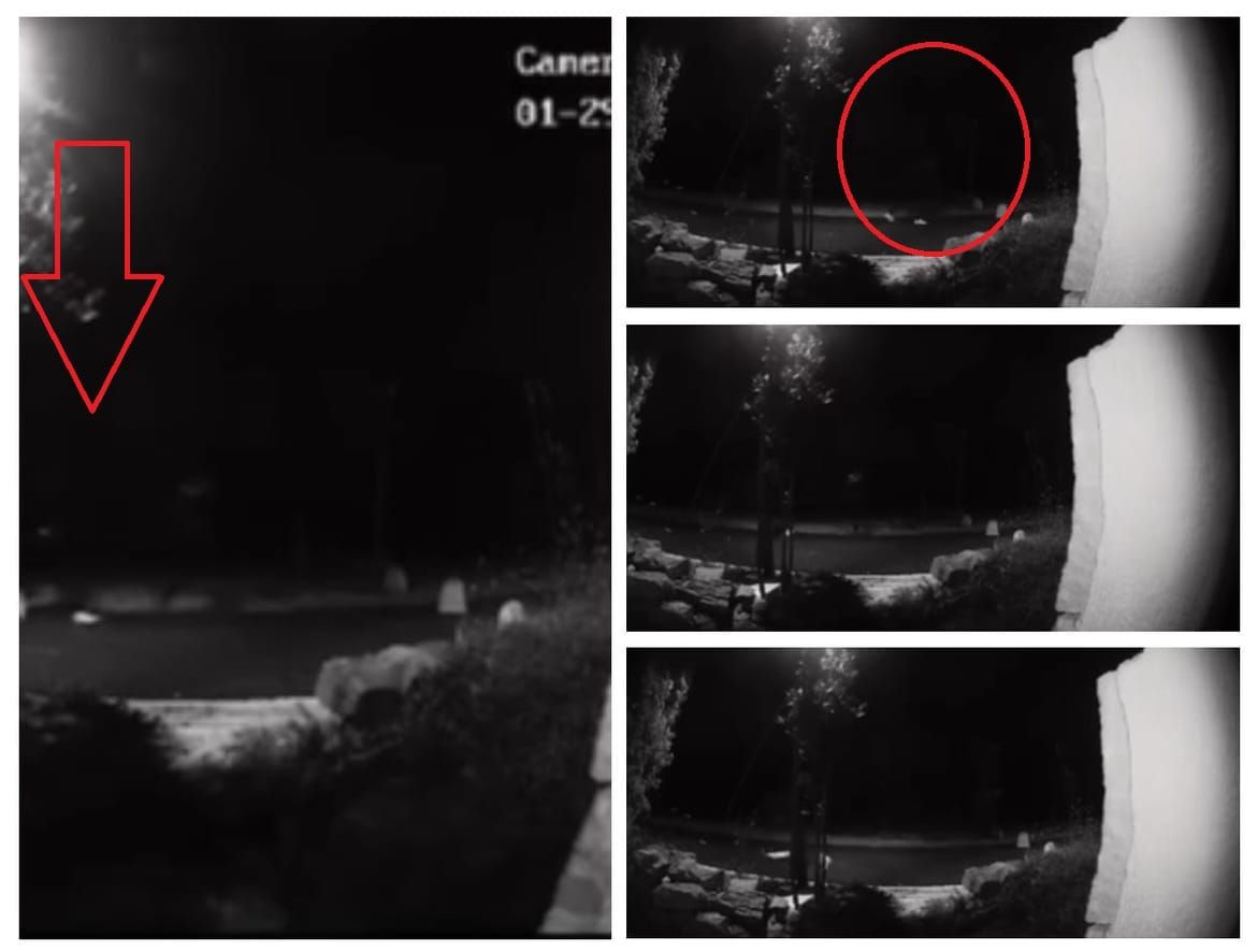 Maloljetniku koji je na zadarskoj šetnici nožem uboo ženu u vrat, određen istražni zatvor
