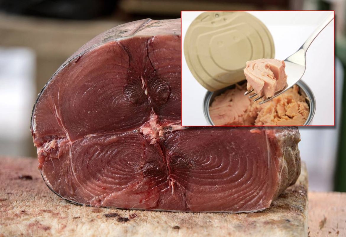 Borzan iz Euro-parlamenta upozorava: “Otkrivene alarmantne razine žive i teških metala u tuni koja se prodaje u Hrvatskoj - čak 13 puta više od dopuštenog u 57% slučajeva!