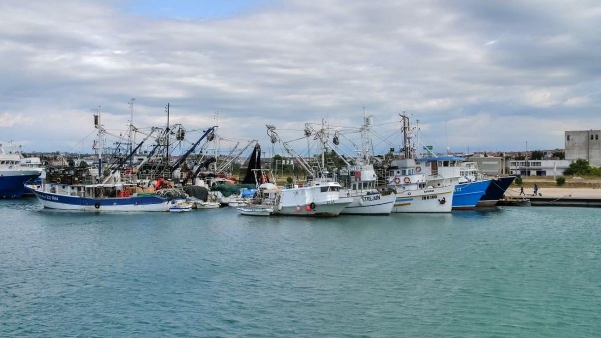 Zadarska županija sufinancira projekte udruga u sektoru poljoprivrede, ribarstva i zaštite životinja