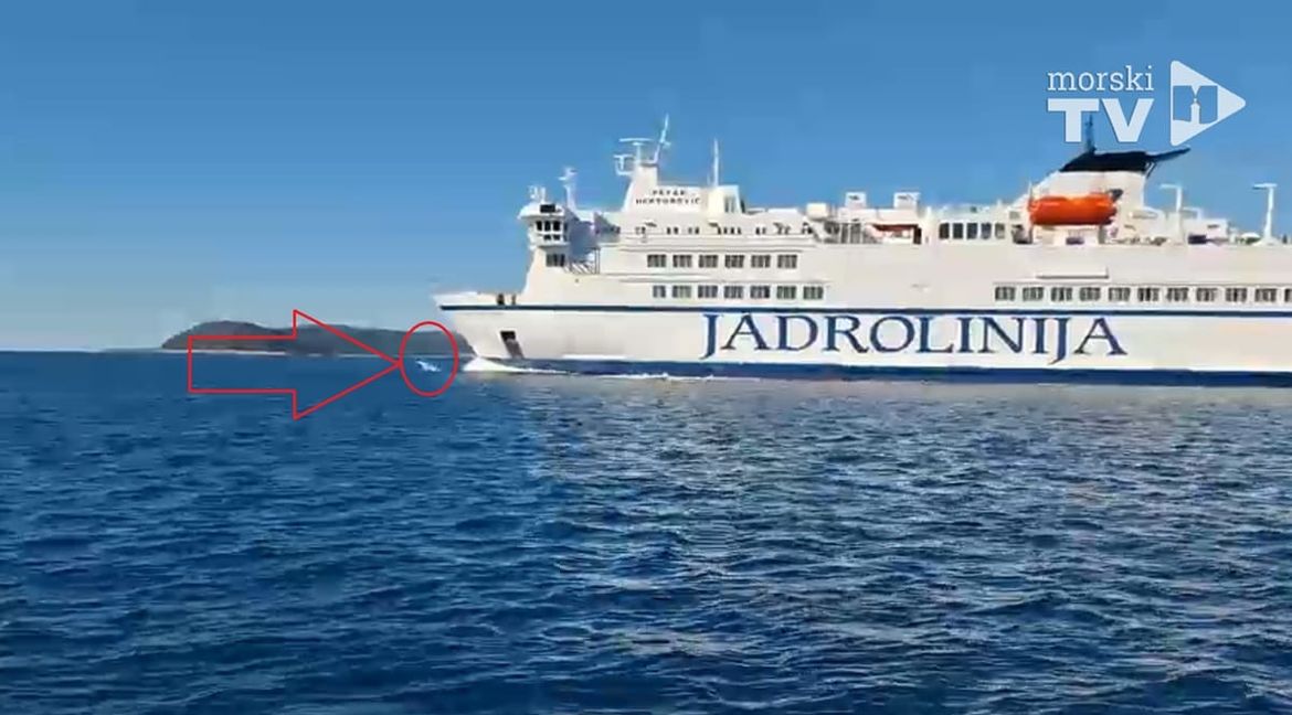 VIDEO Dupini jedva čekali isplovljavanje trajekta za Vis: "Skakali su ispred prove i puštali da ih bulb gura..."