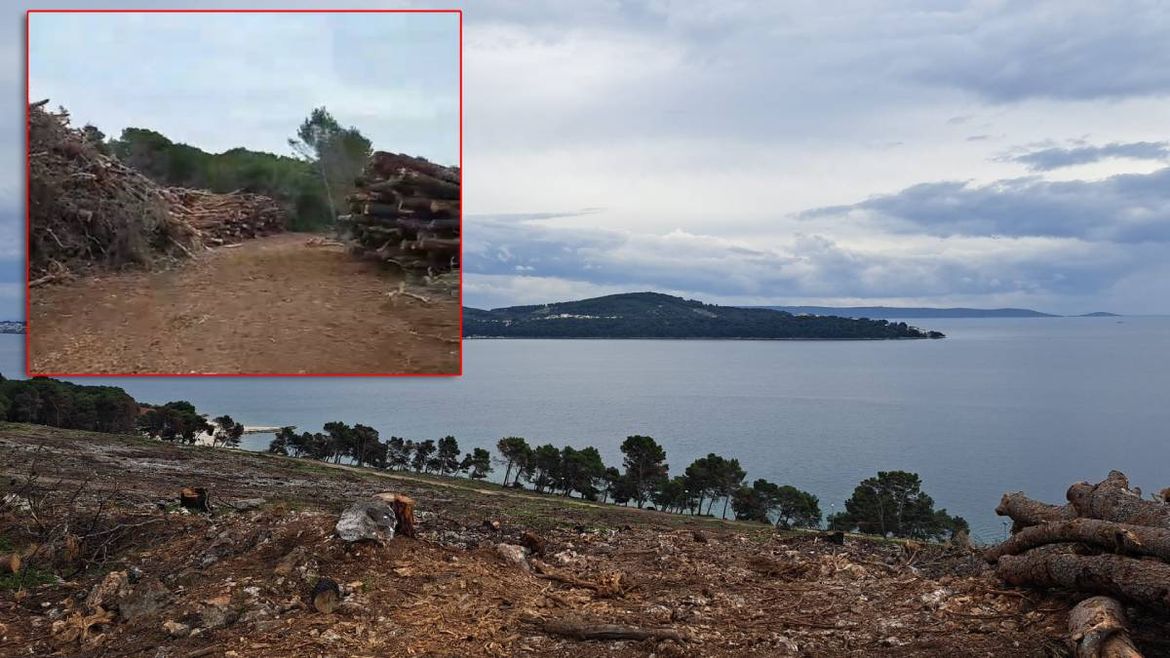 Posjekli čitavu šumu, jer novim zgradama zaklanjaju pogled na more?